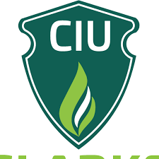 Clarke International University