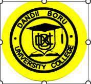 Dandii Boruu University College