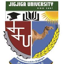 Jijiga University