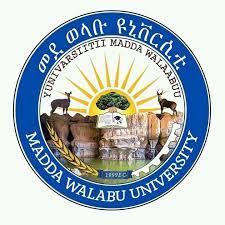 Madawalabu University