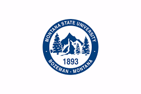 Montana State University