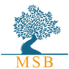 Mediterranean School of Business Tunisia