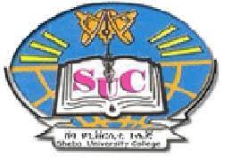 Sheba Info Tech & Business College