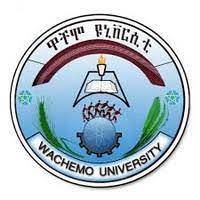 Wachemo University