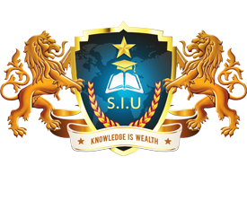 Star international university South Sudan