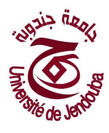 University of Jendouba